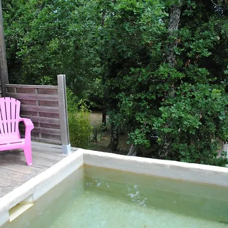 Insolite Bois Cailloux Avec Chalet