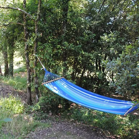 Insolite Bois Cailloux Avec Chalet *