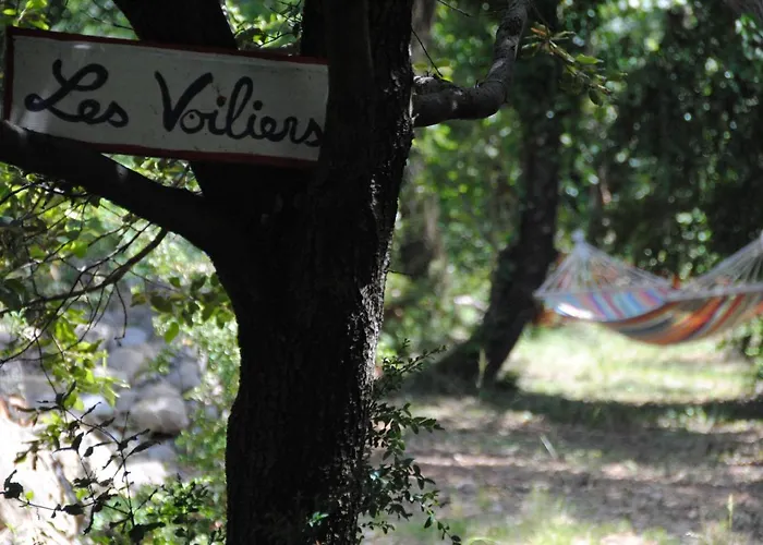 Insolite Bois Cailloux Avec Saint-Remeze