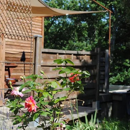 Chalet Insolite Bois Cailloux Avec