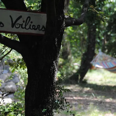 Insolite Bois Cailloux Avec Saint-Remeze